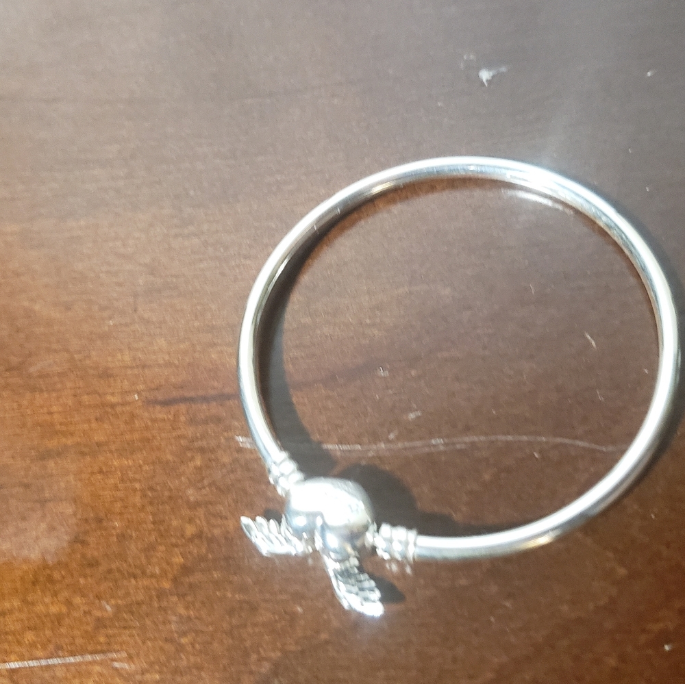 Pandora Bangle